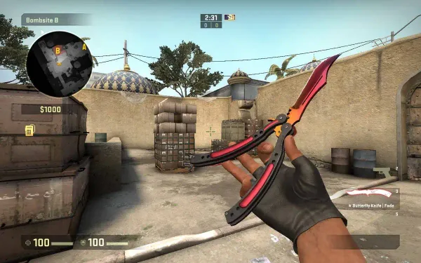 Ultimate Guide to CS:GO Cases Containing the Coveted Butterfly Knife